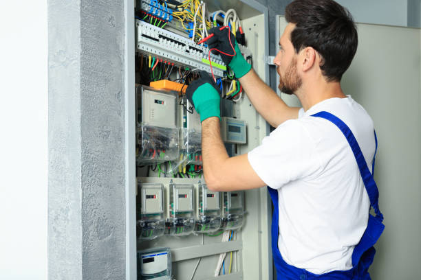 Best Electric Panel Repair  in Hallsville, TX